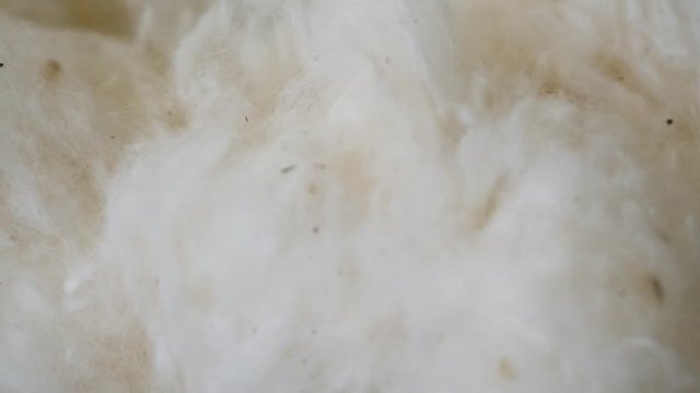 close up of organic wool fibers slow motion.