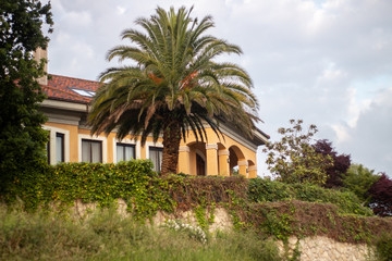 Fototapeta na wymiar House and palm in a cludy day