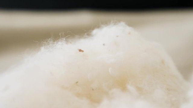 Organic wool fibers bunched up close up paning left right slow motion