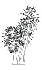 Palm tree polygonal lines illustration. Abstract vector palm tree on the white background