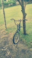 Fototapeta na wymiar Bicycle Parked Against Tree