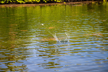 rock skipping on water