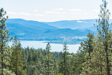 Ponderosa pine forest with view of Okanagan Lake, Okanagan Valley, and mountains