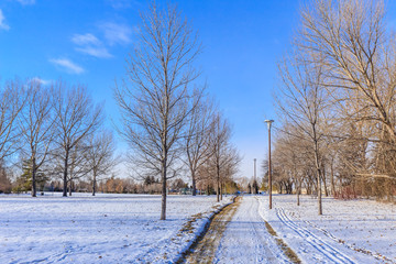 Fototapeta premium Herbert S. Sears Park