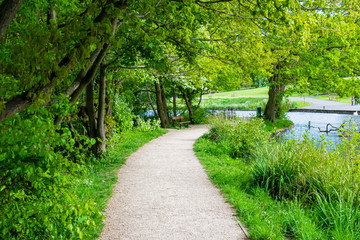 path in the park