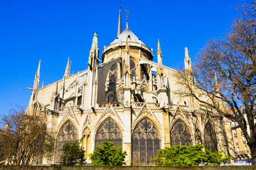 Obraz premium Notre Dame Cathedral Façade, Paris, France