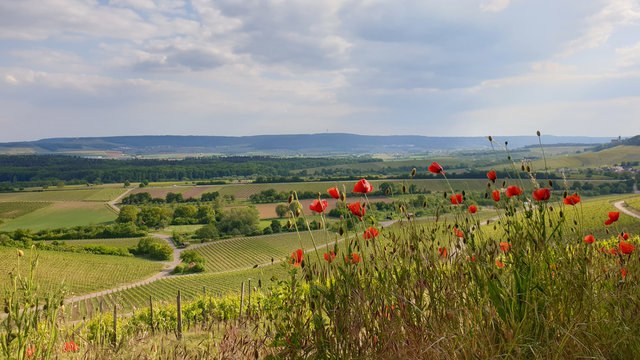 Wundersch&ouml;ner Blick &uuml;ber das Zaberg&auml;u