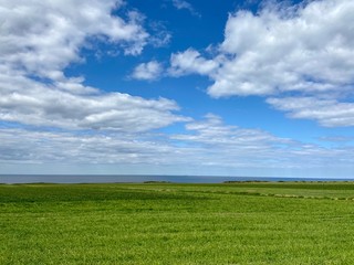 green field and blue sky