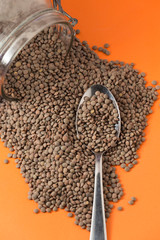 lentils, spoon plate
