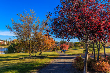 Fototapeta premium John Avant Park
