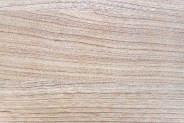 Plywood sheet texture background in light tones