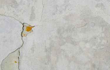 Muro