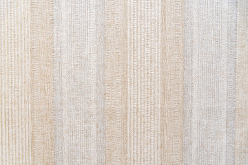 Plywood sheet texture background in light tones