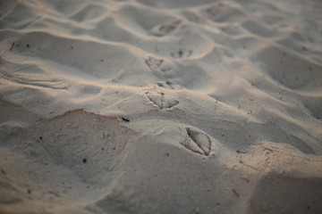 Sand