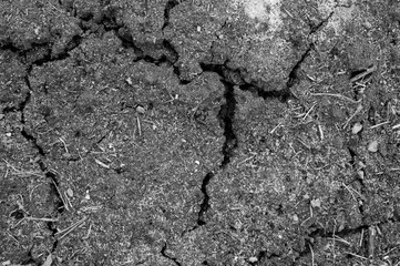 background of cracked earth soil ground texture covered with moss