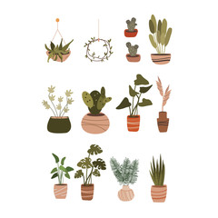 Large set of home plants on a white background. Boho style home plants