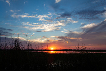Grass Reeds on Waterfront at Sunset