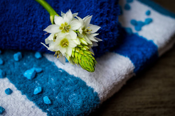 Obraz na płótnie Canvas blue towel and white flower