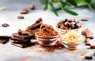Organic cocoa butter, cocoa beans, grated cocoa lump, dark chocolate on gray background. Copy space