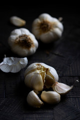Garlic