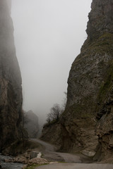 mountains along with bushes against daytime skies
