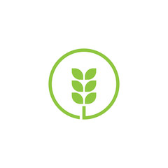 Plant icon. Logo vector.