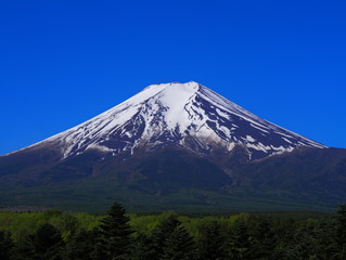 Mt. Fuji with clear blue sky from Fujiyoshida city Japan 05/14/2020