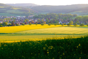 View of the rapeseed fields and the small German town of Bad Pyrmont.