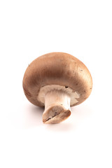 Baby Portobello Mushrooms on a White Background