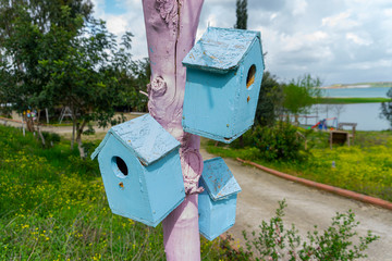 wooden bird houses on blue background hang on tree