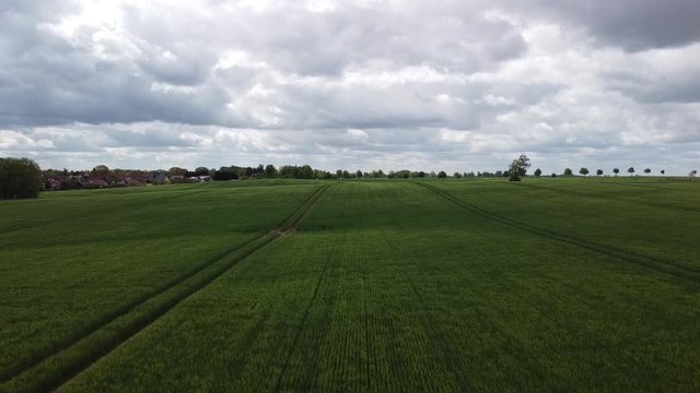 gerade Flug &uuml;ber Kornfeld