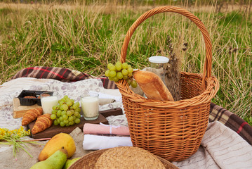Fototapeta na wymiar A wicker basket with milk and bread, fruit, a hat and a book on a cozy blanket .