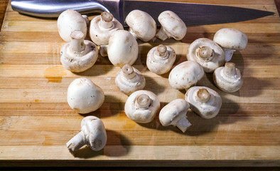 White and organic mushrooms for cooking