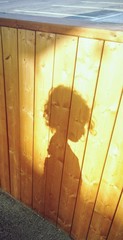 Shadow Of Child On Wooden Fence