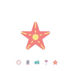 starfish icon vector illustration design