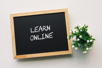 LEARN ONLINE text in white chalk handwriting on a blackboard with flower in small pot on white background