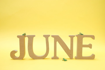 黄色の背景に置かれた「JUNE」のアルファベットブロックとミニチュアのカエル