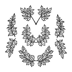 Set of hand drawn botanical leaves, laurels, bracket, branches, and ferns for wedding decoration, plant logo, frame, or invitation
