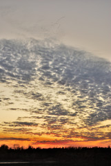 Obraz premium Migratory birds in the autumn evening over the Irtysh River