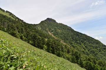 Naklejka na ściany i meble 西日本最高峰の百名山、霊峰石鎚山