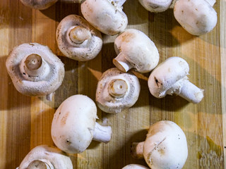 Products for cooking vegetarian food