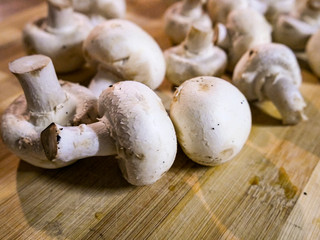 Products for cooking vegan food