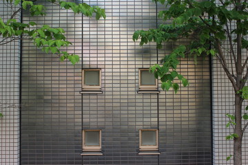 metalic wall and trees