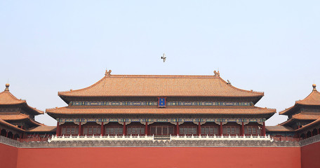 Pigeons flying at the Meridian Gate of the Forbidden City