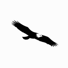eagle silhouette vector, flying bird vector