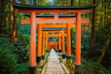 Fototapeta na wymiar Japan. Kyoto. Fushimi-Inari Taisha. Shinto Shrine in Kyoto. Orange ritual gate among the trees. Temple Of The Goddess Inari. Iconic buildings of Japan. island of Honshu. The Kansai Region. Fushimi-Ku