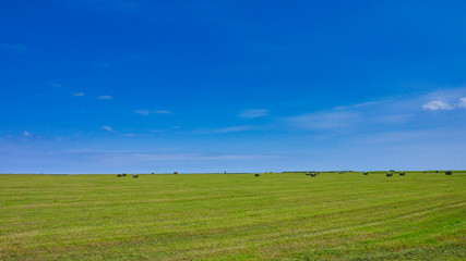 宗谷岬, 北海道, ウインドファーム,  風, 空, 野原, 風景, 緑, 自然