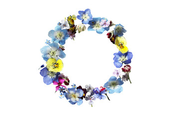 blooming colorful dried flower frame