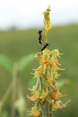 Buenos días naturaleza