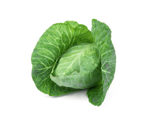 fresh green pointed cabbage isolated on white background